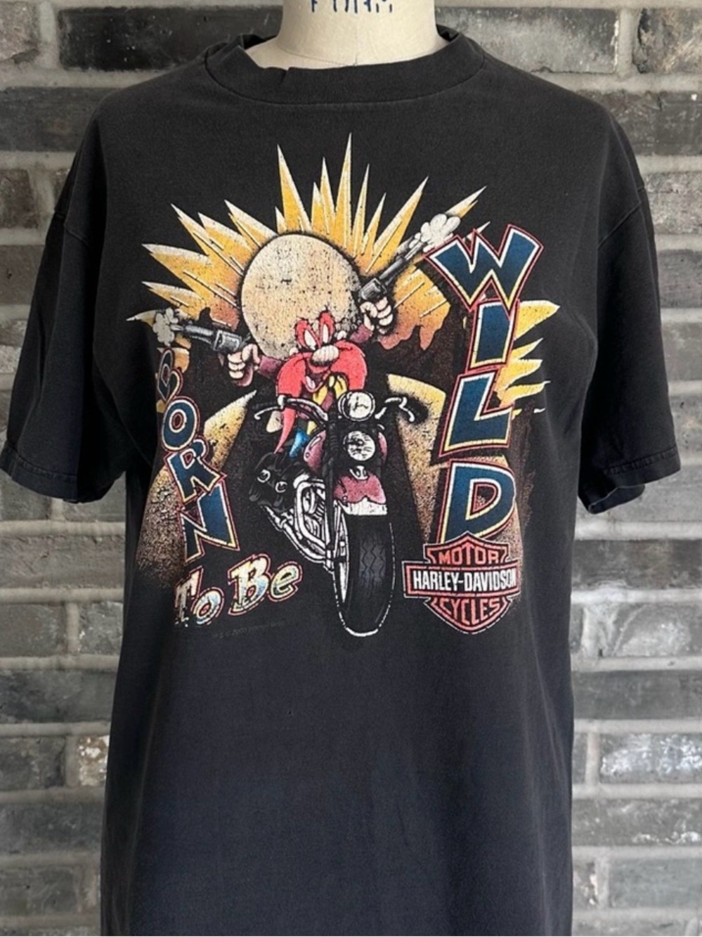 Vintage Y2K Harley Davidson Looney Tunes Taz Yosemite Sam Chicago Hanes Beefy T